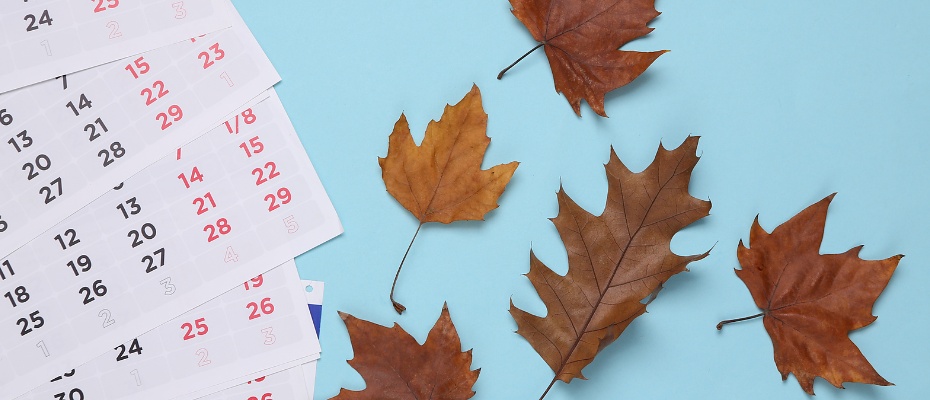 The Biggest International Trade Fairs in November 2025
