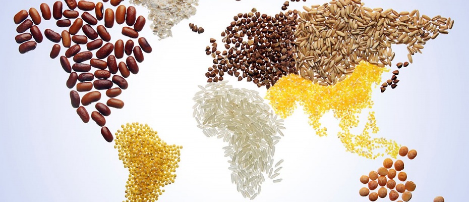 Past, Present and Future of the Global Food Industry