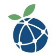MB Global Foods