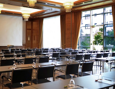 Pullman Stuttgart Fontana